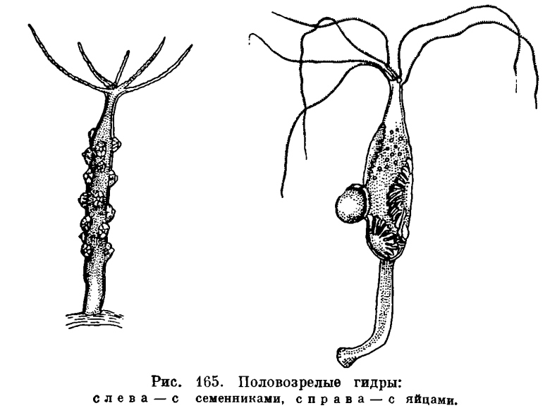 Кракен даркет